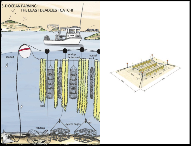 ocean farming diagram