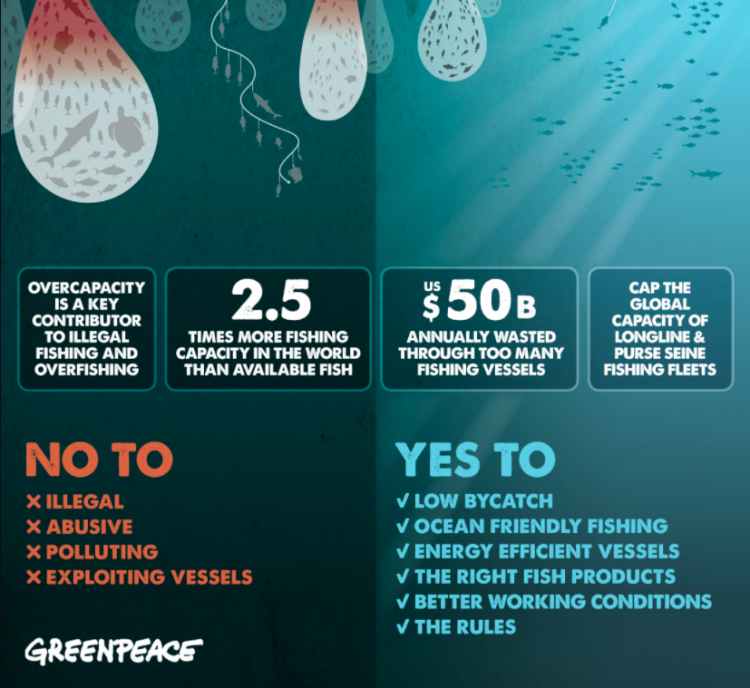 greenpeace infographic