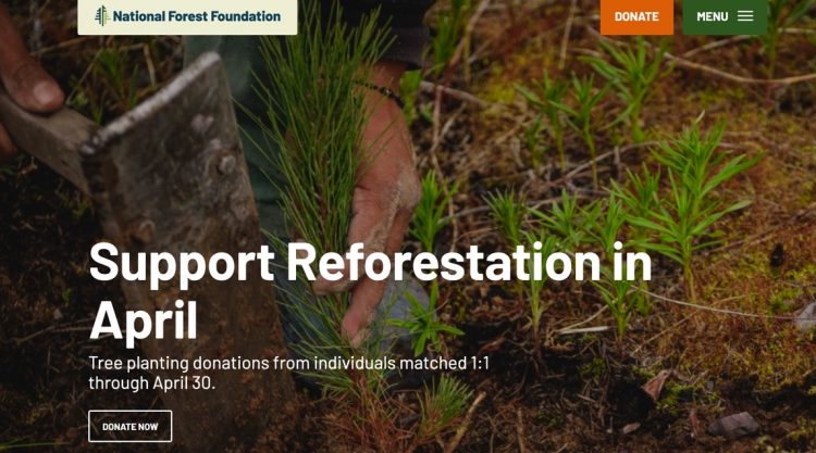 national-forest-foundation-environmental-sustainability