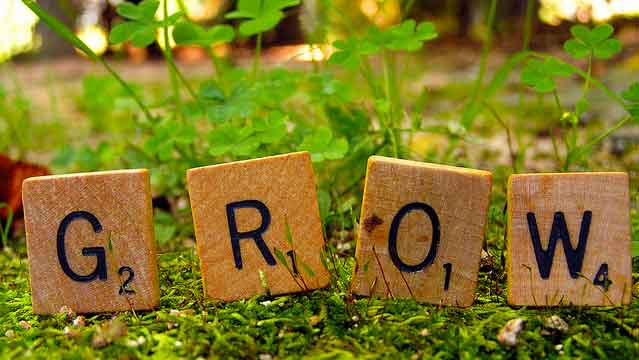 scrabble grow letters