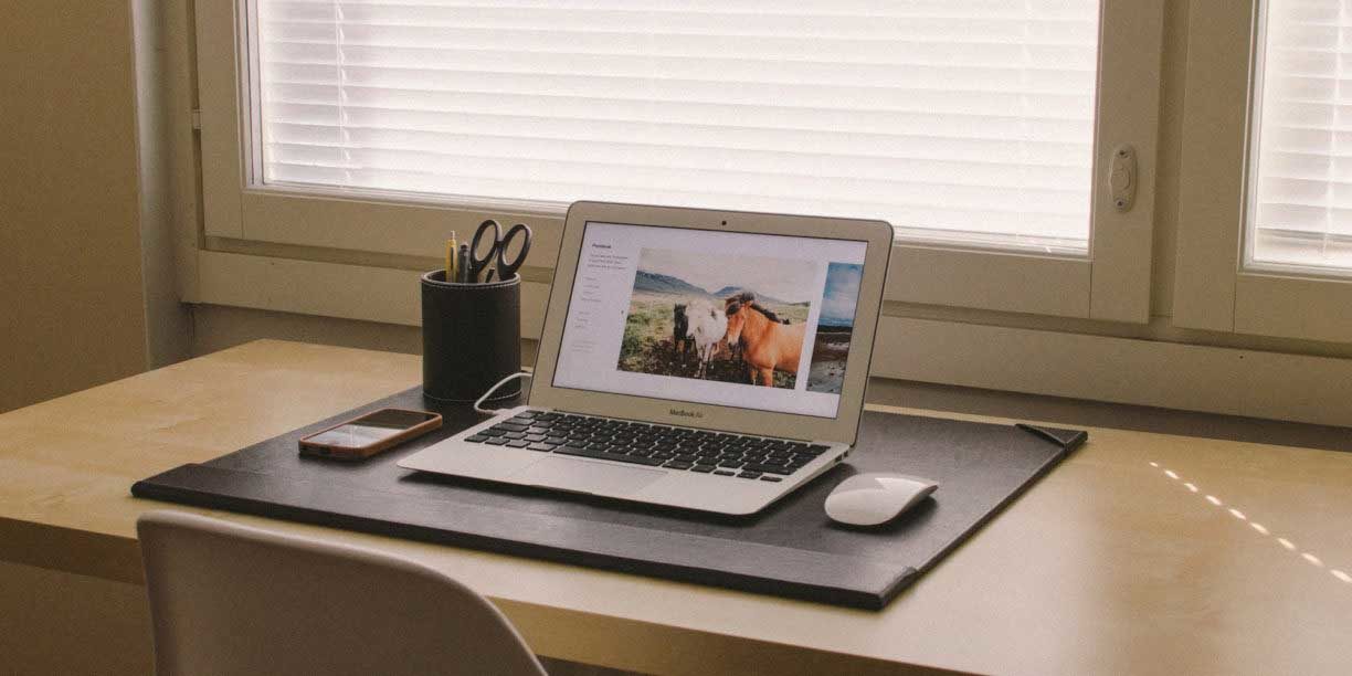 horse wallpaper laptop setup