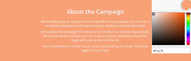 about the campaign