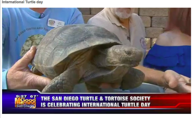 The San Diego Turtle and Tortoise Society