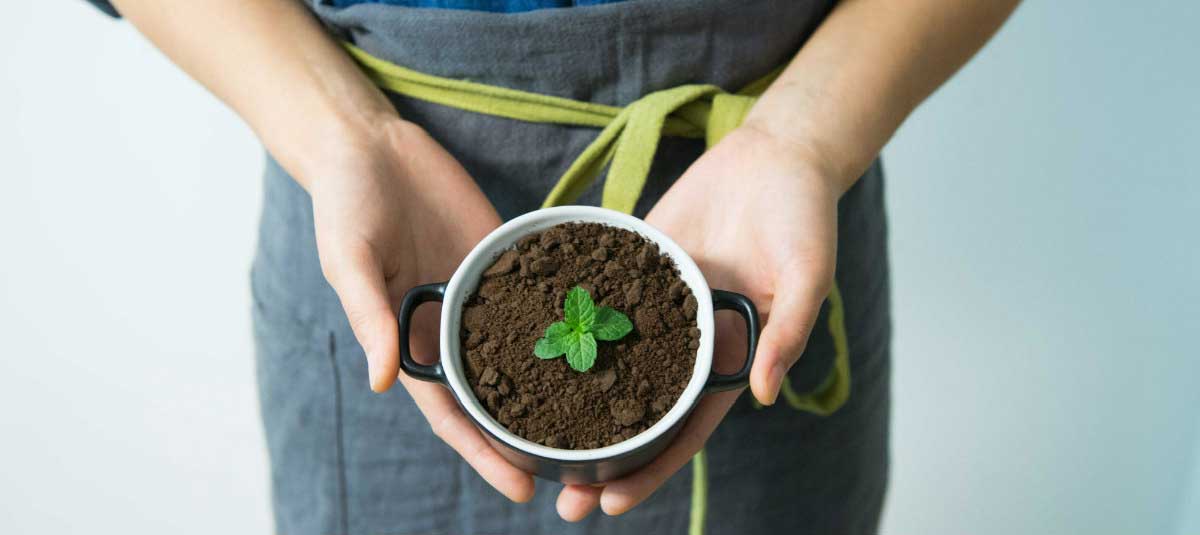 Woman holding plant