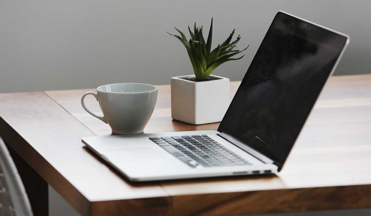 laptop on a table with coffee and plant