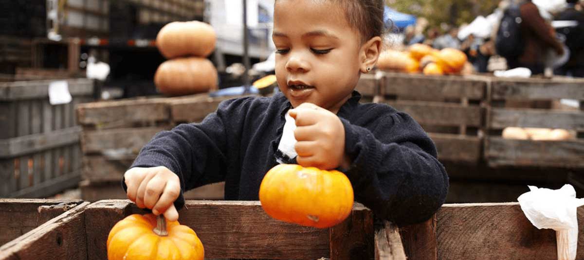 little girl holding a pumpkin