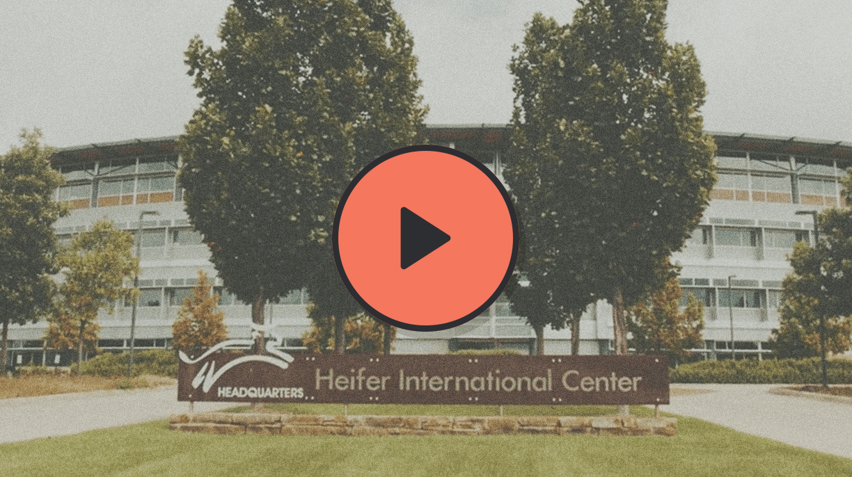 Heifer International and Classy