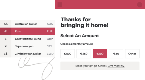 International campaign example with already enabled currency choices for donors