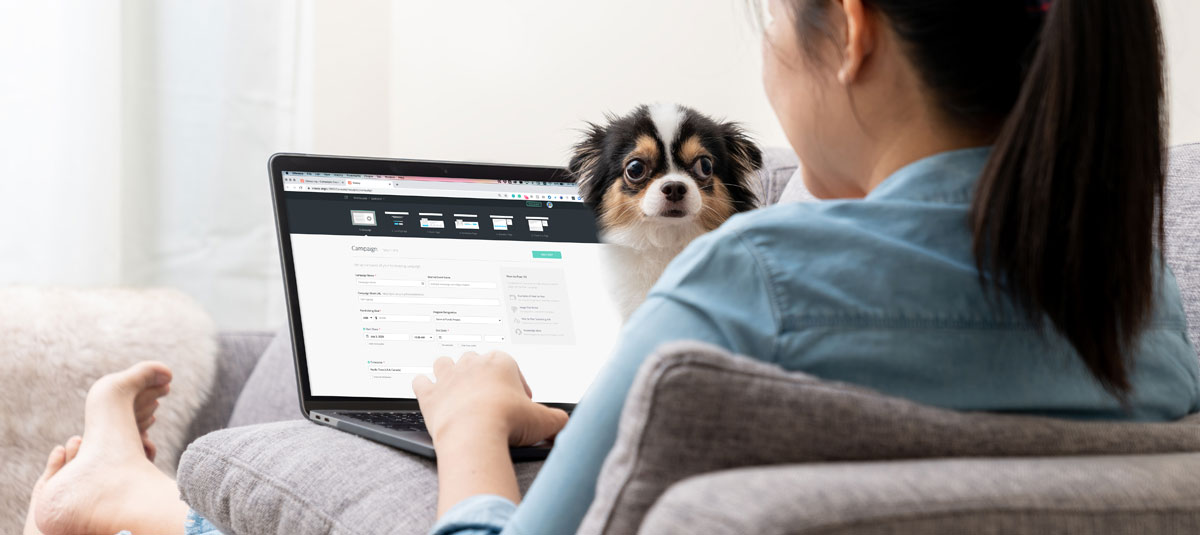Dog looking at woman typing on her laptop