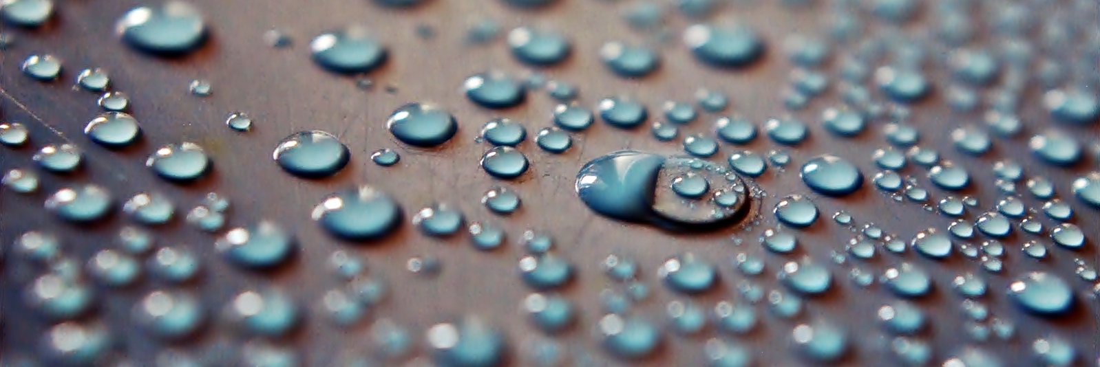 Water Beads on Surface